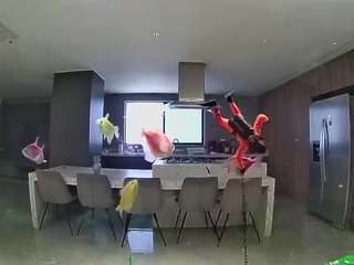 Hd, Young Adult, Voyeur, Teen  Camiqa – Free Live Video Chat with Strangers Online
