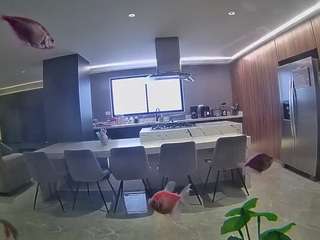 Hd, Young Adult, Voyeur, Teen  Camiqa – Free Live Video Chat with Strangers Online