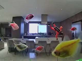 Hd, Young adult, Voyeur, Teen 18, Sexwebcam, Pov, No drinking, Hidden cam, ..., Hamster Adult Site 8