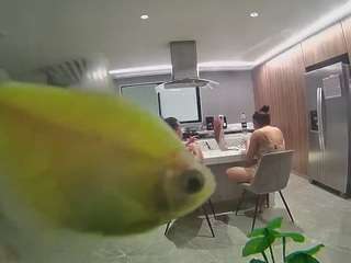 Hd, Young Adult, Voyeur, Teen  Camiqa – Free Live Video Chat with Strangers Online