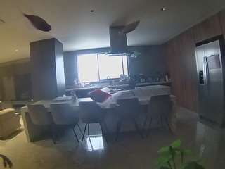 voyeurcam-casa-salsa-fishtank