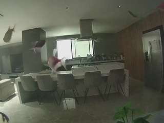Hd, Young Adult, Voyeur, Teen  Camiqa – Free Live Video Chat with Strangers Online