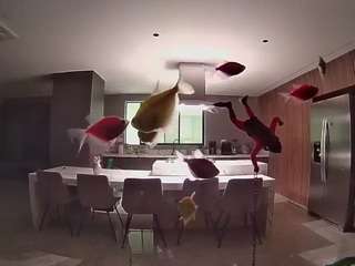 voyeurcam-casa-salsa-fishtank