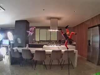 Hd, Young Adult, Voyeur, Teen  Camiqa – Free Live Video Chat with Strangers Online