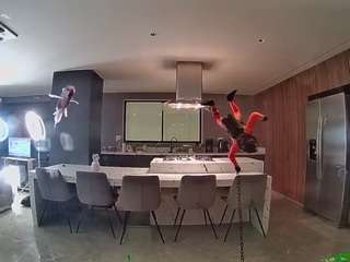 voyeurcam-casa-salsa-fishtank
