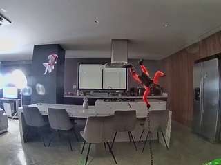 voyeurcam-casa-salsa-fishtank