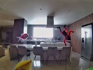 voyeurcam-casa-salsa-fishtank