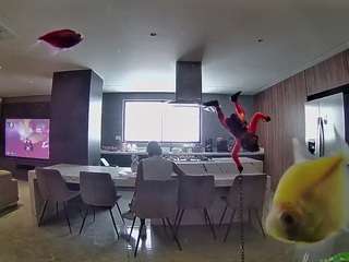 voyeurcam-casa-salsa-fishtank
