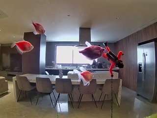 voyeurcam-casa-s... Live Webcam on CamSoda