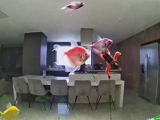 Hd, Young Adult, Voyeur, Teen  Camiqa – Free Live Video Chat with Strangers Online