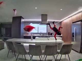 voyeurcam-casa-salsa-fishtank