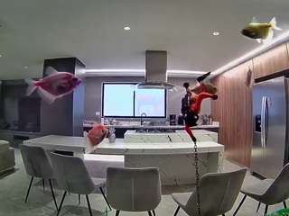 voyeurcam-casa-salsa-fishtank