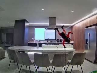 voyeurcam-casa-salsa-fishtank