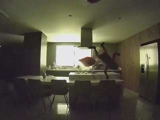 voyeurcam casa salsa fishtank