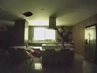 voyeurcam-casa-salsa-fishtank