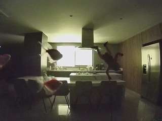 voyeurcam-casa-salsa-fishtank