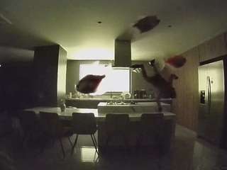 Hd, Young Adult, Voyeur, Teen  Camiqa – Free Live Video Chat with Strangers Online