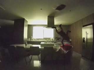 voyeurcam-casa-salsa-fishtank