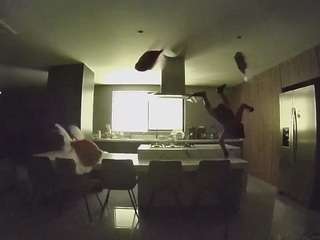 voyeurcam-casa-salsa-fishtank
