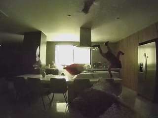 voyeurcam-casa-salsa-fishtank