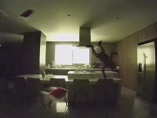 voyeurcam-casa-salsa-fishtank