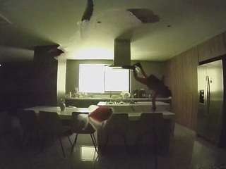 voyeurcam-casa-salsa-fishtank