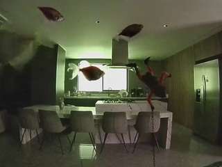 voyeurcam-casa-salsa-fishtank