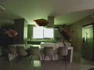 voyeurcam-casa-salsa-fishtank