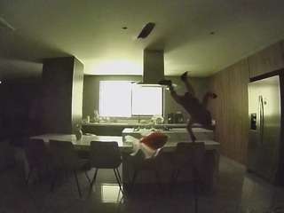 voyeurcam-casa-salsa-fishtank