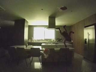 voyeurcam-casa-salsa-fishtank