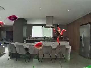 Hd, Young Adult, Voyeur, Teen  Camiqa – Free Live Video Chat with Strangers Online