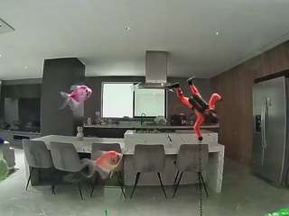 voyeurcam-casa-salsa-fishtank