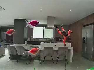 Hd, Young Adult, Voyeur, Teen  Camiqa – Free Live Video Chat with Strangers Online