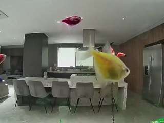 Hd, Young Adult, Voyeur, Teen  Camiqa – Free Live Video Chat with Strangers Online