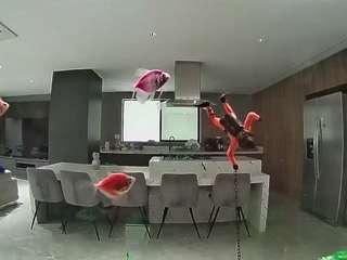 Hd, Young Adult, Voyeur, Teen  Camiqa – Free Live Video Chat with Strangers Online