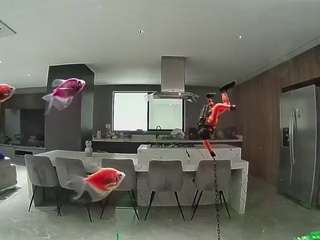 Hd, Young Adult, Voyeur, Teen  Camiqa – Free Live Video Chat with Strangers Online
