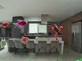 Hd, Young Adult, Voyeur, Teen  Camiqa – Free Live Video Chat with Strangers Online