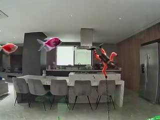 Hd, Young Adult, Voyeur, Teen  Camiqa – Free Live Video Chat with Strangers Online