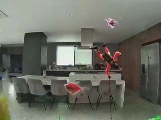 voyeurcam-casa-salsa-fishtank