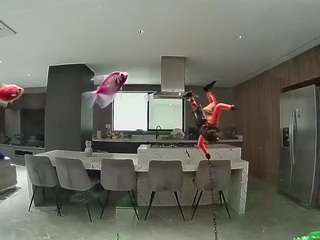 voyeurcam-casa-salsa-fishtank