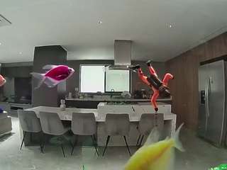 voyeurcam-casa-salsa-fishtank