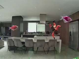 voyeurcam-casa-salsa-fishtank