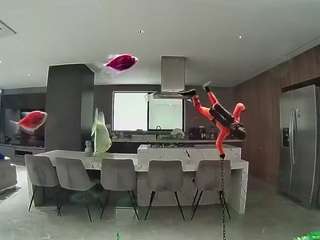 voyeurcam-casa-salsa-fishtank