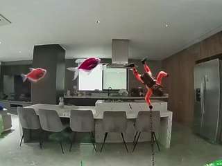 voyeurcam-casa-s... Live Webcam on CamSoda