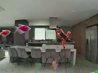voyeurcam-casa-salsa-fishtank