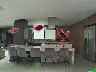 voyeurcam-casa-salsa-fishtank