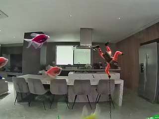 voyeurcam-casa-salsa-fishtank