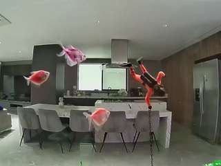 voyeurcam-casa-salsa-fishtank