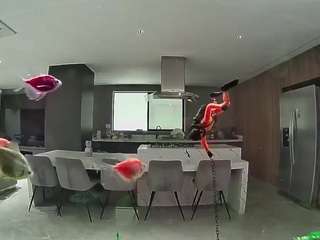 voyeurcam-casa-salsa-fishtank