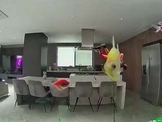 voyeurcam-casa-salsa-fishtank